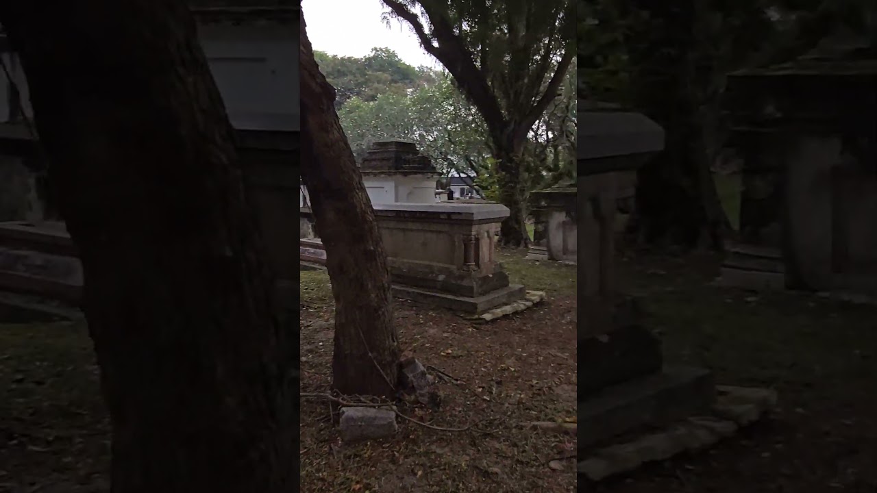 YouTube Short thumbnail