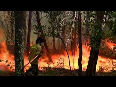 Video Thumbnail: Wildfires force evacuations on Greek island of Kefalonia