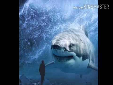 DVBBS X Ido B Zooki - Drop It ( pancho)