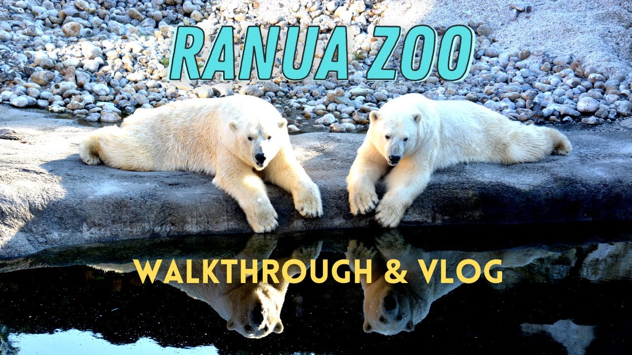 ranua wildlife park video