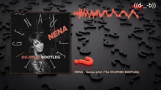 NENA - Genau jetzt (The Dolphin Bootleg)