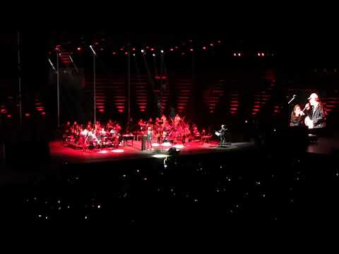 Francesco De Gregori ed Elisa - Can't help falling in love (Elvis Presley cover) @ Arena. 20/09/2019