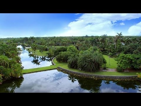 Miami Landmarks: Fairchild Tropical Botanic Garden