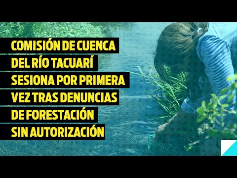 Comisión de Cuenca del Tacuarí tuvo su primera sesión tras denuncias de forestación sin autorización