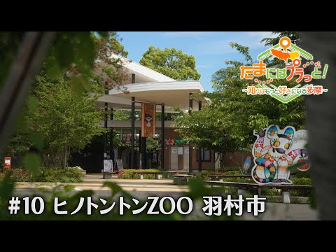 「たまにはプラっと！」　2024年6月7日放送