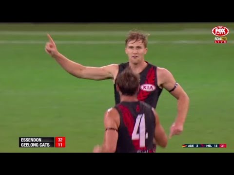 Essendon Highlights - Rd 8 2017 v Geelong