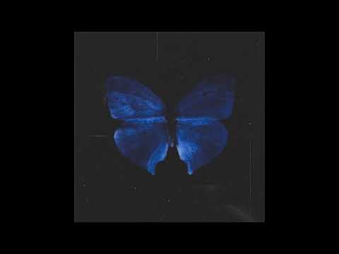 heylu - butterfly