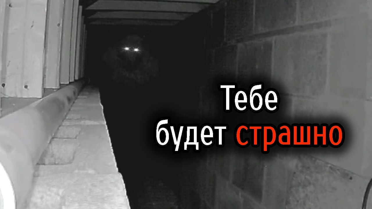 Самые Ужасные Видео со Всего Мира #66