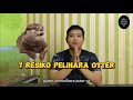 7 RISKS OF KEEPING OTTERS UNDERSTAND BEFORE BUYING PAKMUS SUGGESTION HOPEFULLY IT IS USEFUL
