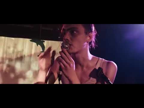 Dolphins live @ keinefischeabergrethen 2018