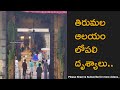 Inside Tirumala Sri Venkateswara Swamy Temple