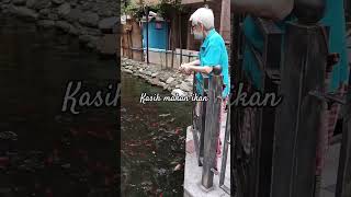 Download lagu Kasih makan ikan #vlogtkwtaiwan #jalanyangjauhjanganlupapulang #cooking #food mp3 Download lagu Kasih makan ikan #vlogtkwtaiwan #jalanyangjauhjanganlupapulang #cooking #food mp3