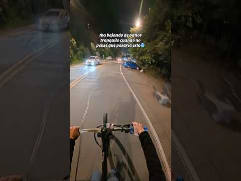 De quién cree que fue la culpa?🥶🔥 #insta360 #stuntbike #bikelife #pov #juliobikelife