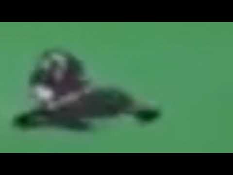 Interrupção - Lxê (official audio)