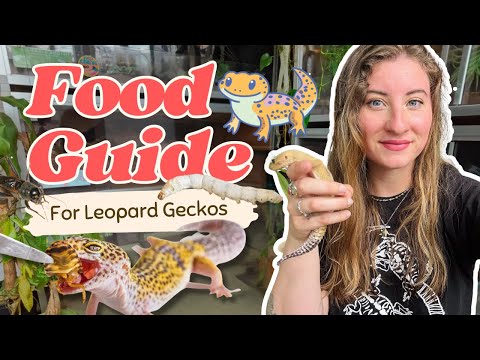 Leopard Gecko Feeding Guide: Best Insects, Schedule & Foods to Avoid