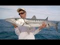 Barracuda on the Castings 