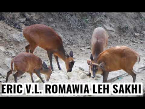 ERIC V.L. ROMAWIA LEH SAKHI INTAWN DAN DANGLAM