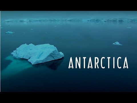 Tony Vise - Antarctica (OFFICIAL VIDEO)