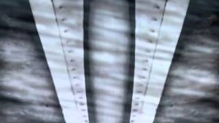 STATIQBLOOM. BEHIND GLASS