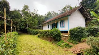 Download lagu Mantap., Musim Hujan Di Pedesaan. Di Kampung Terpencil Sejuk Indah Alam Desanya, Pedesaan Jawa Barat mp3