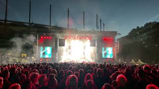Die Toten Hosen - Die Farbe Grau | Alles aus Liebe - 40 Jahre die Toten Hosen