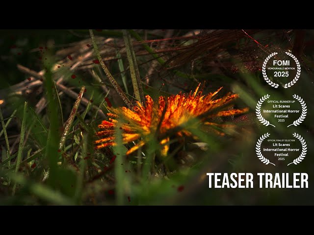 Bitter Blood - Short Film - Official Trailer (2025)