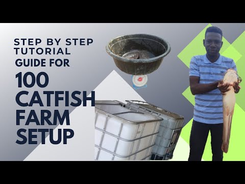 100 Catfish Farm setup | The ULTIMATE guide | Backyard Fish Farm