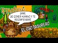 El oso basurero | Stardew Valley