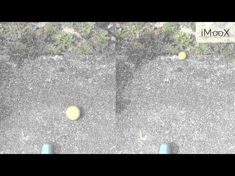 2e Die Newtonsche Bewegungsgleichung