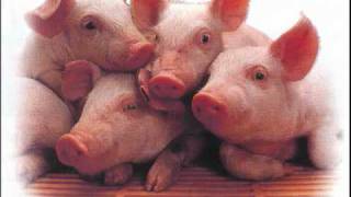 Carl Peterson ---The Sow