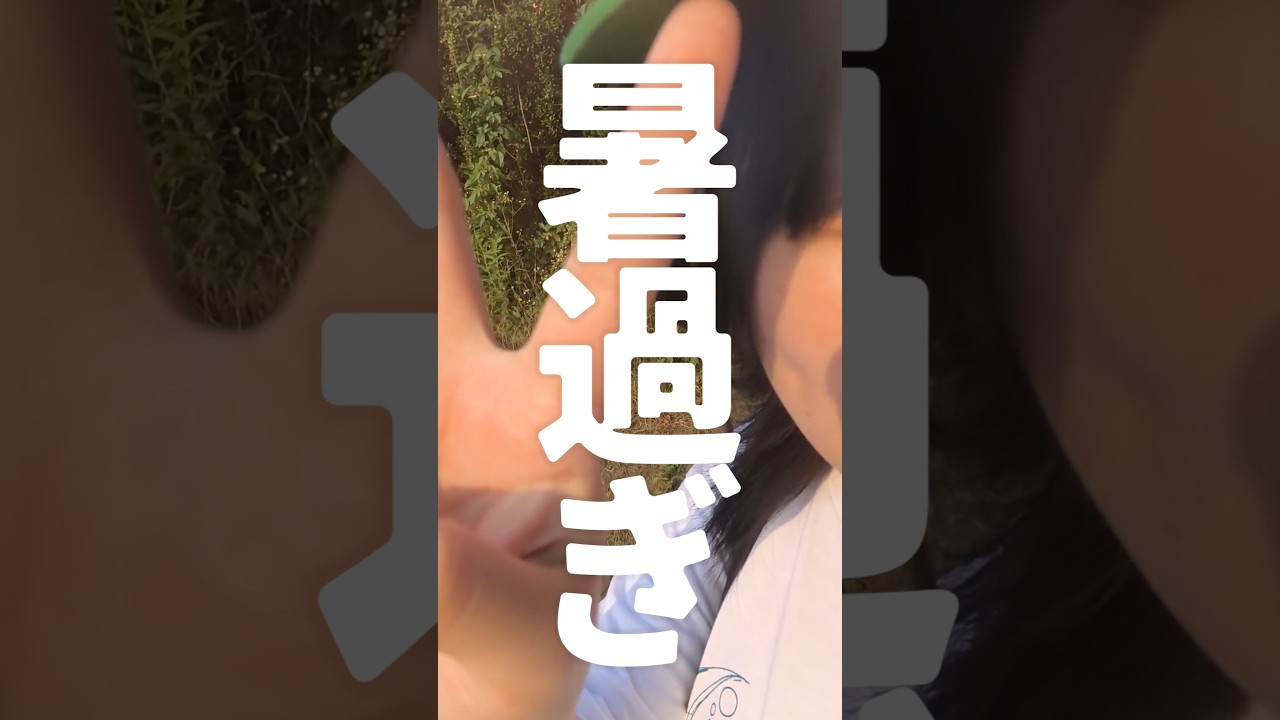 ぴこんちゃん、真夏のDJ出演の様子をお届け🕺🏻