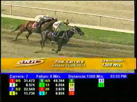 Resumen Sábado, 24 de Agosto de 2013 - La Rinconada