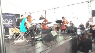 Tomeka Reid Quartet at Chicago Jazz Festival, August 31, 2014 - Wabash Blues (1/3)