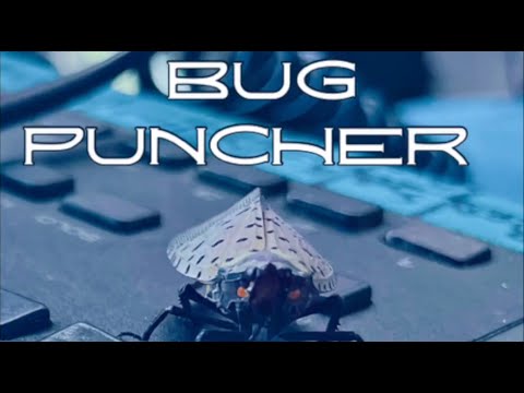 Bug Puncher 2