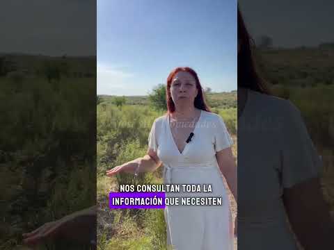 EN VENTA CAMPO DE 19 HA PROXIMO A LA RADIAL DE ROSARIO, COLONIA