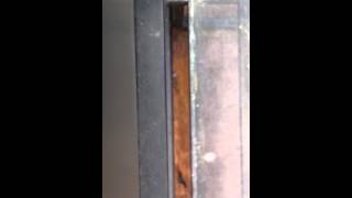 The Rural Alberta Advantage - In the Summertime (Live)