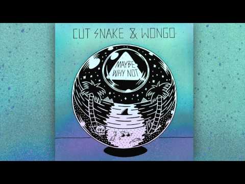 Cut Snake & Wongo - Maybe Why Not (Audio)