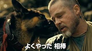 ブラッド・ピット主演　退役軍人と愛犬の“絆”を描く　映画「ハート・オブ・ビースト」9月25日公開決定【ティザー予告】