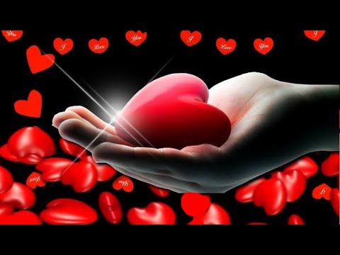 Zvonarevic Katarina   - Vracam ti poljupce