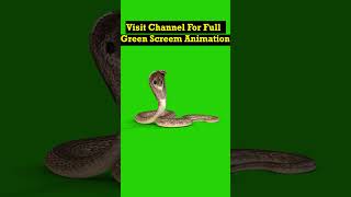 Download lagu Snake Green Screen Background #videoediting #animation #vfx #chromakey #greenscreen mp3 Download lagu Snake Green Screen Background #videoediting #animation #vfx #chromakey #greenscreen mp3