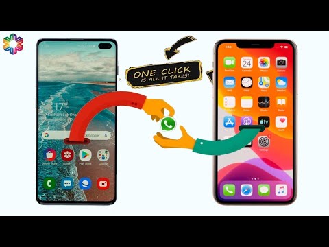 How to transfer your WhatsApp from Android to iPhone or VV - Transfer Everything from Phone to Phone