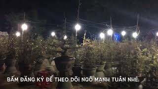 preview picture of video 'Chợ mai bình định về đêm'