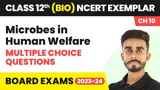 Microbes in Human Welfare - Multiple Choice Questions | Class 12 Biology NCERT Exemplar Chapter 10