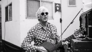 Robyn Hitchcock - Heart Full Of Leaves