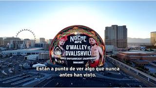 #UFC333 Merab Dvalishvili: Mi Momento