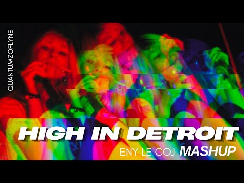 Fedde Le Grand vs David Guetta & MORTEN vs Jaxomy - She's So High vs Night in Detroit (mashup)