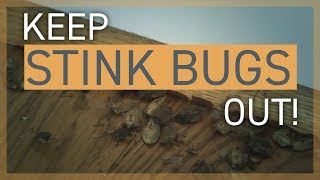 Brown Marmorated Stink Bug Control: Keeping Stink Bugs Out of Your House