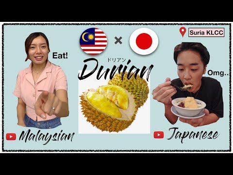 日本人對榴蓮的反應@吉隆坡蘇里雅中心壯舉。NicobonTV (Japanese Reacts to Durian @ Suria KLCC feat. NicobonTV)