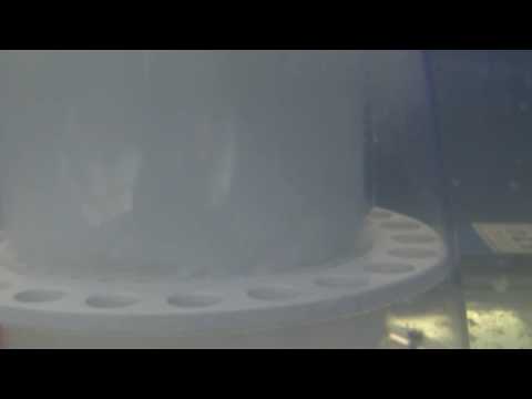 Vertex Alpha 250 Cone Skimmer Review