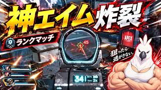 APEXのプレイ動画を自作したAI対応動画編集ソフトでカットと字幕をつけてもらいました(２Dモデル作りました)